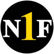 Network 1 Financial Securities logo
