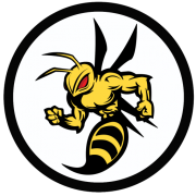 Stinger Equipment logo