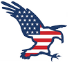 Eagle One logo
