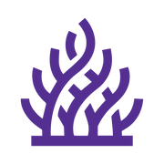 IntelliReefs logo
