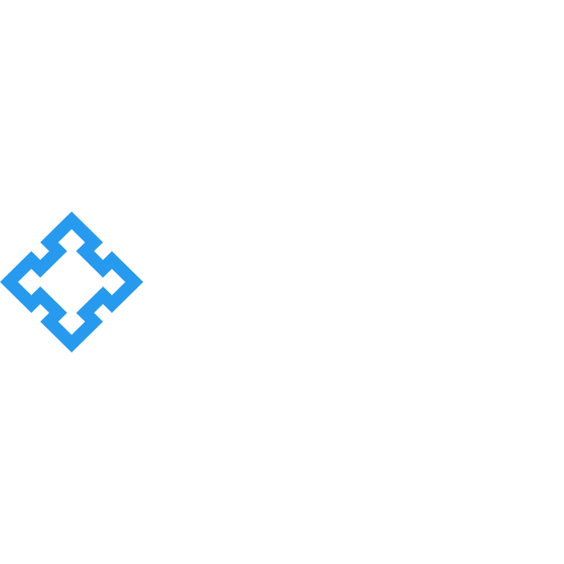 Fortress Investment Group