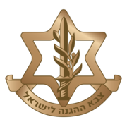 Israel Defense Forces