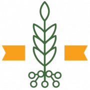 Grow-NY
