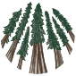 Sator Grove Holdings