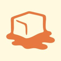 bVisor logo