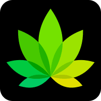 IndicaOnline logo