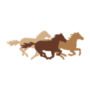 Sonora logo