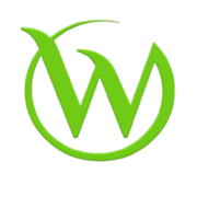 Bay Wellness logo