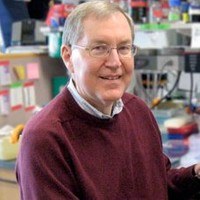 David Knipe