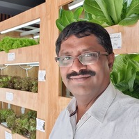 Sairam Palicherla