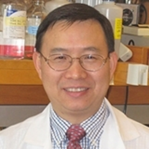 X. Zheng