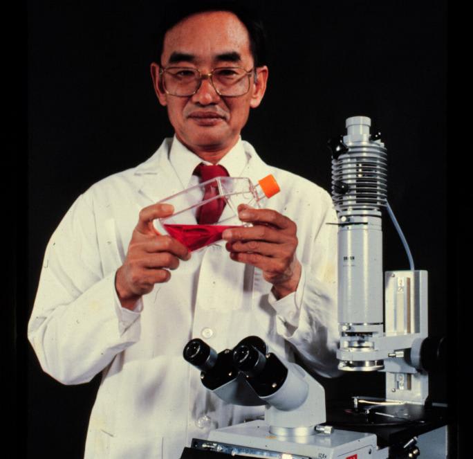 Gordon Sato