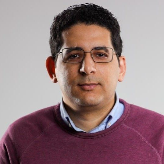 Mohamed Fergany