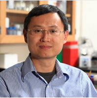Shengrong Lin