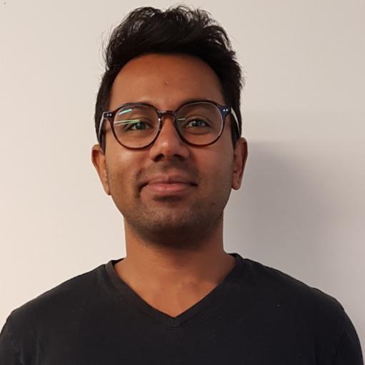 Amaresh Ray