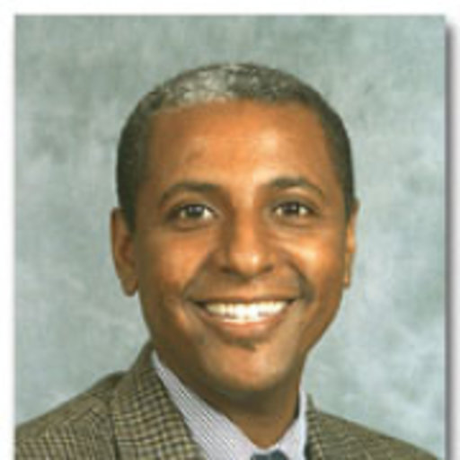 Bisrat Hailemeskel