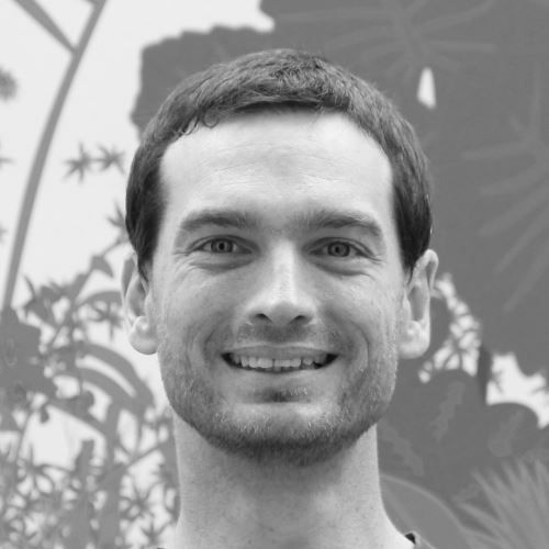 Guillaume Figielski