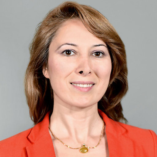 Elham Fini