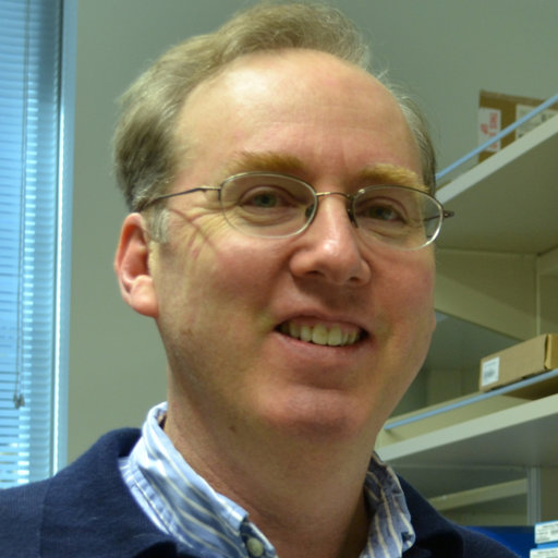 Daniel Raftery