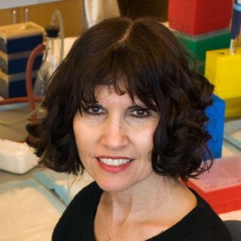 Kathy Giacomini
