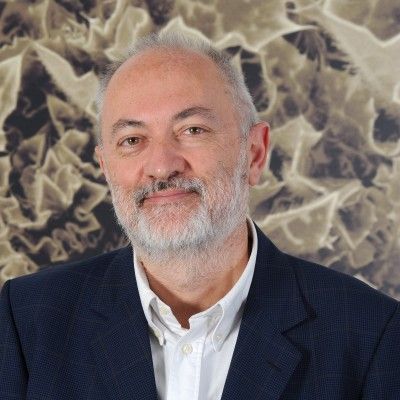 Paolo Milani