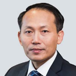 Vu Han