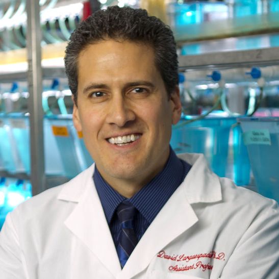 David Largaespada