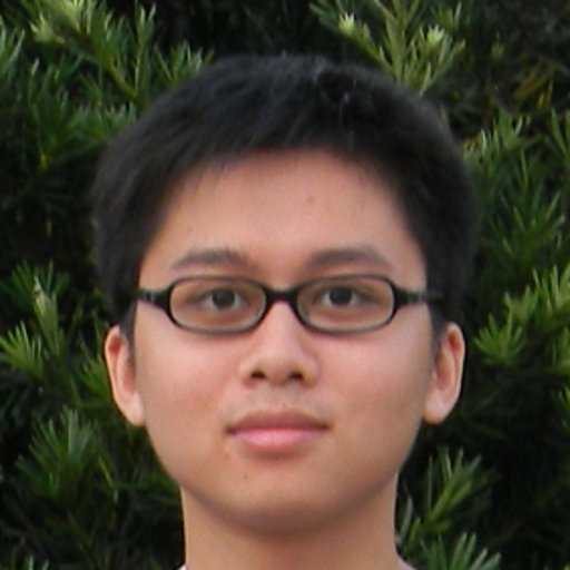 Qifeng Chen