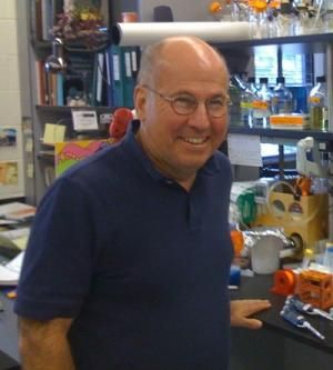 Robert Garcea