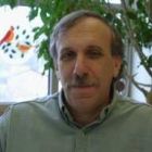 Joe BelBruno