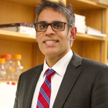 Deepak Nijhawan