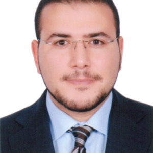 Waleed Sadek