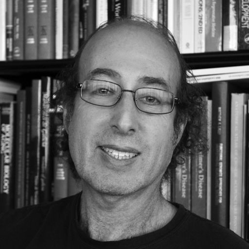 Kenneth Kosik