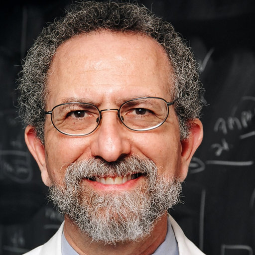 Jeffrey Blumberg