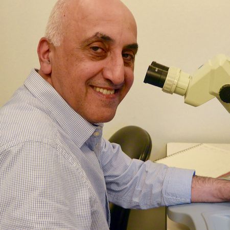 Masud Azimi