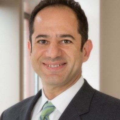 Adel Malek