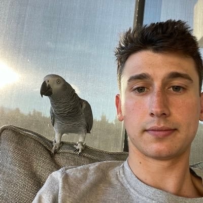 Devin Stein